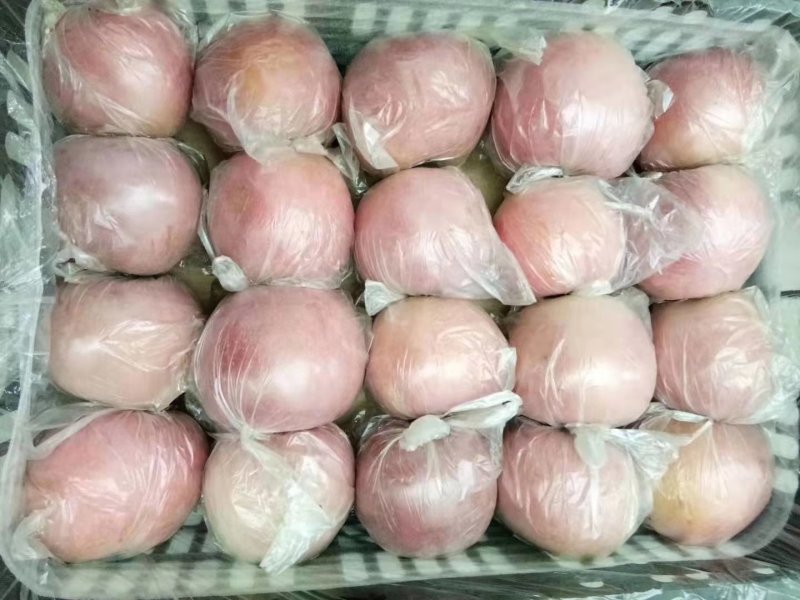 精品膜袋红富士苹果已经大量上市，质量杠杠的
