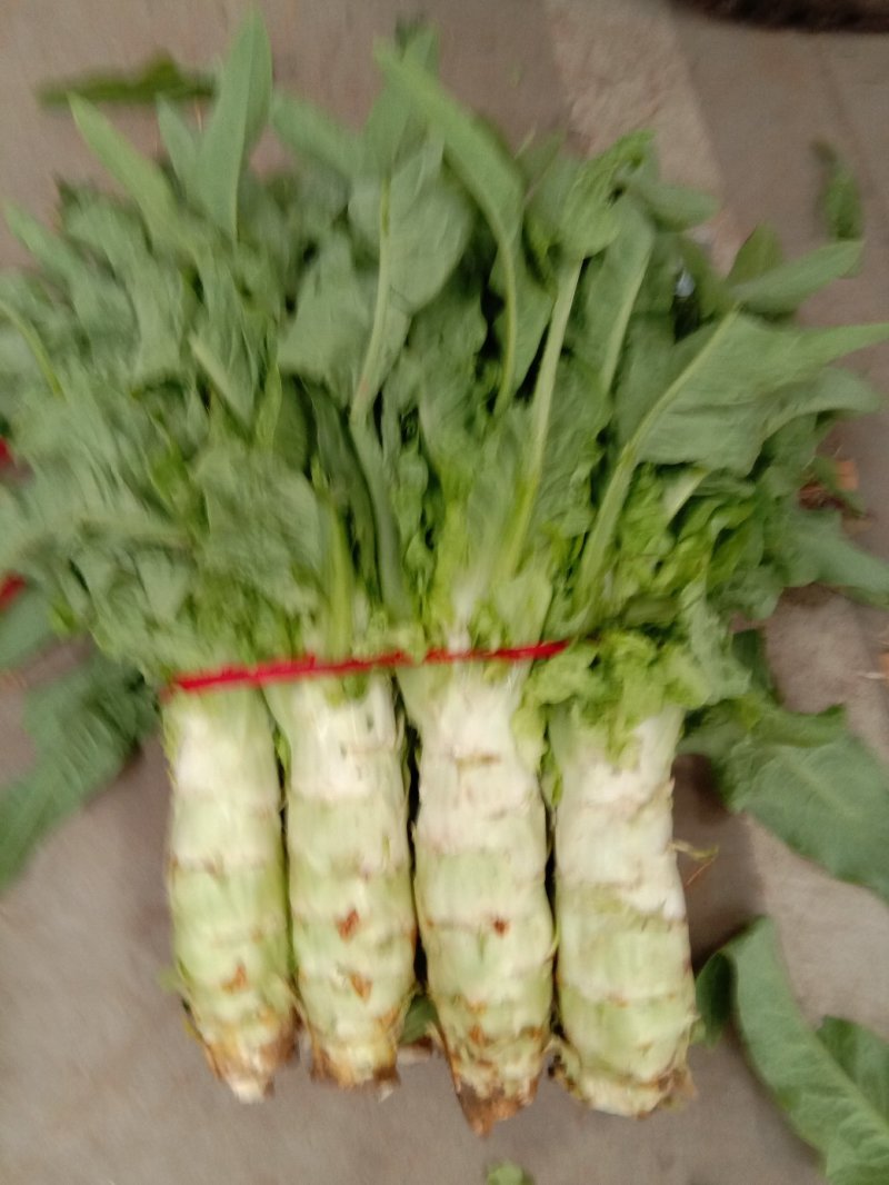 笋质量