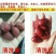 新疆特产有枣、核桃、葡萄干等。各种进口干果。