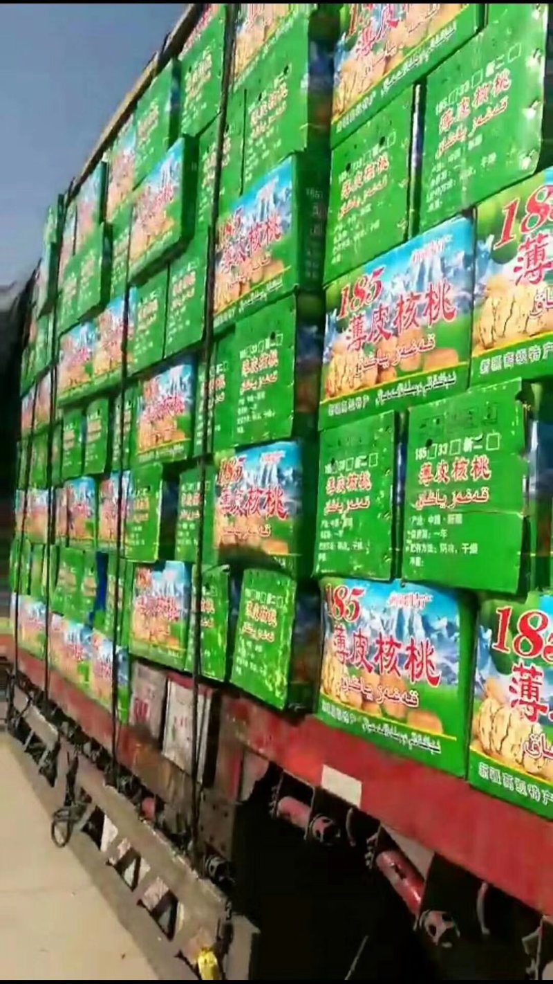 新疆特产有枣、核桃、葡萄干等。各种进口干果。