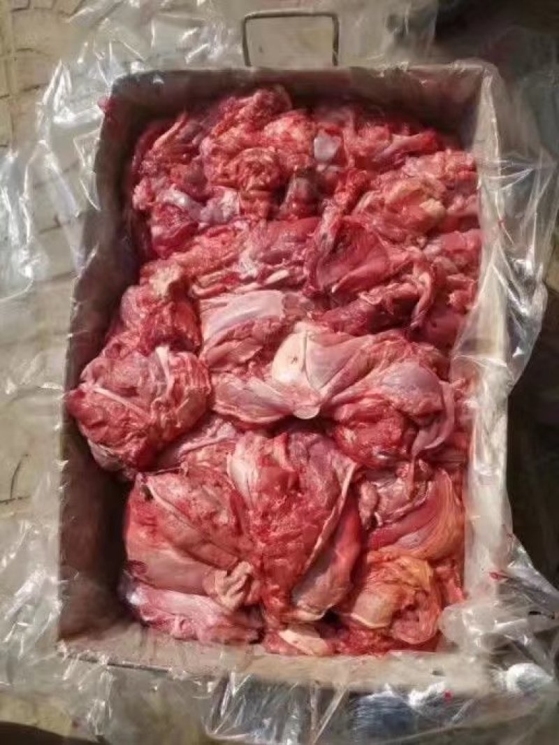 小羊腿肉