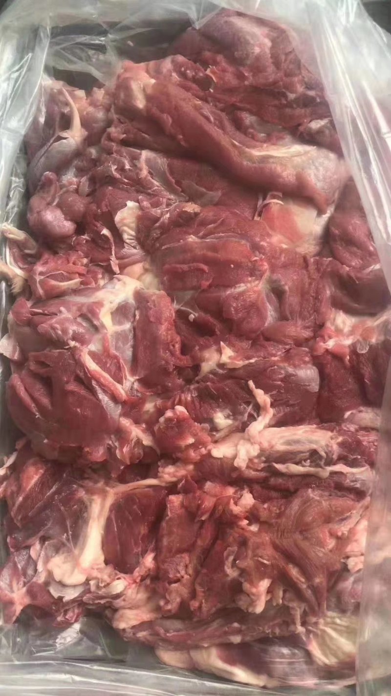 小羊腿肉