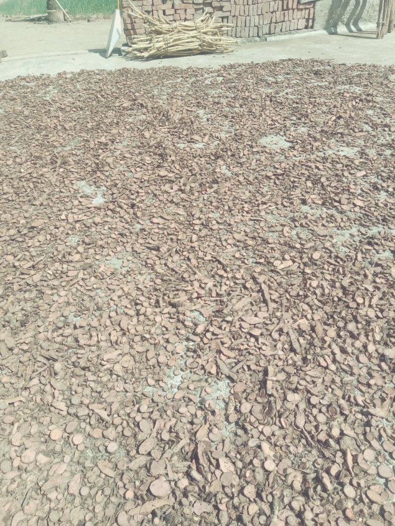 岩陀，高含量野生品种，个子，片子长年供应。