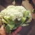 精品有机菜花松菜花花椰菜个头均匀一手货源