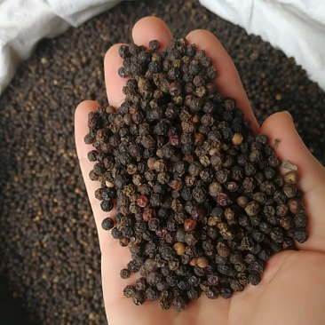 黑胡椒黑胡椒粒黑胡椒粉各种规格调味料