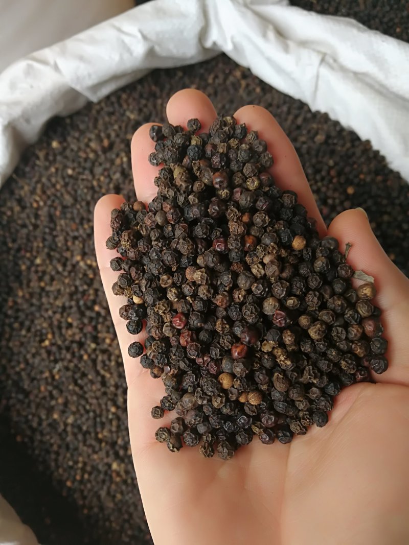 黑胡椒黑胡椒粒黑胡椒粉各种规格调味料
