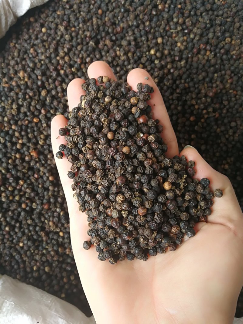 黑胡椒黑胡椒粒黑胡椒粉各种规格调味料