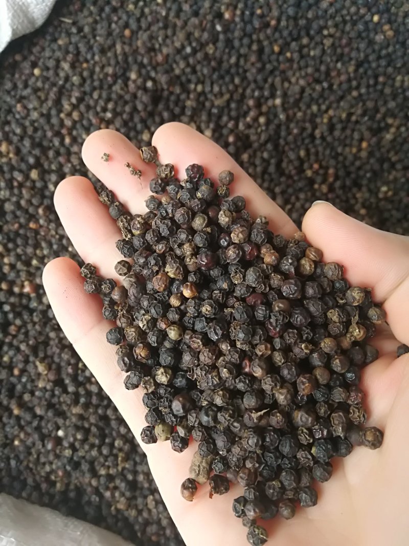 黑胡椒黑胡椒粒黑胡椒粉各种规格调味料