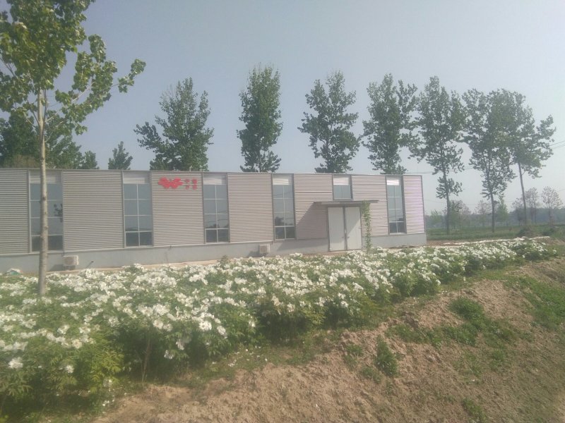 鲜辣椒打浆