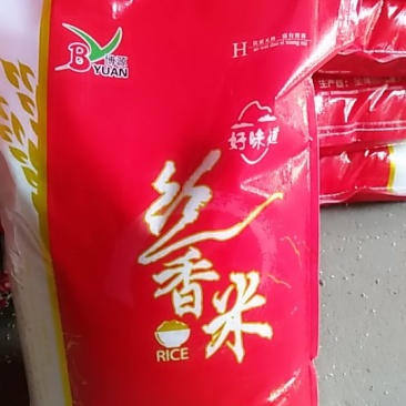 大米