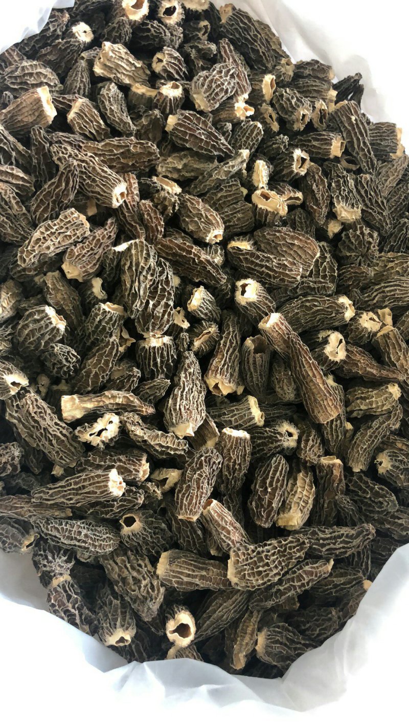进口野生羊肚菌～10公斤包邮