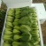 山东油菜小青菜(全国代发)