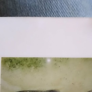 草鱼苗有化水，火片，寸片，冬片。