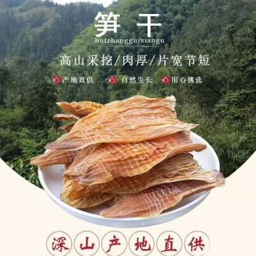笋干内