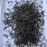 武夷山小种红茶正山小种茶叶散装桐木关红茶野茶小种厂家批发