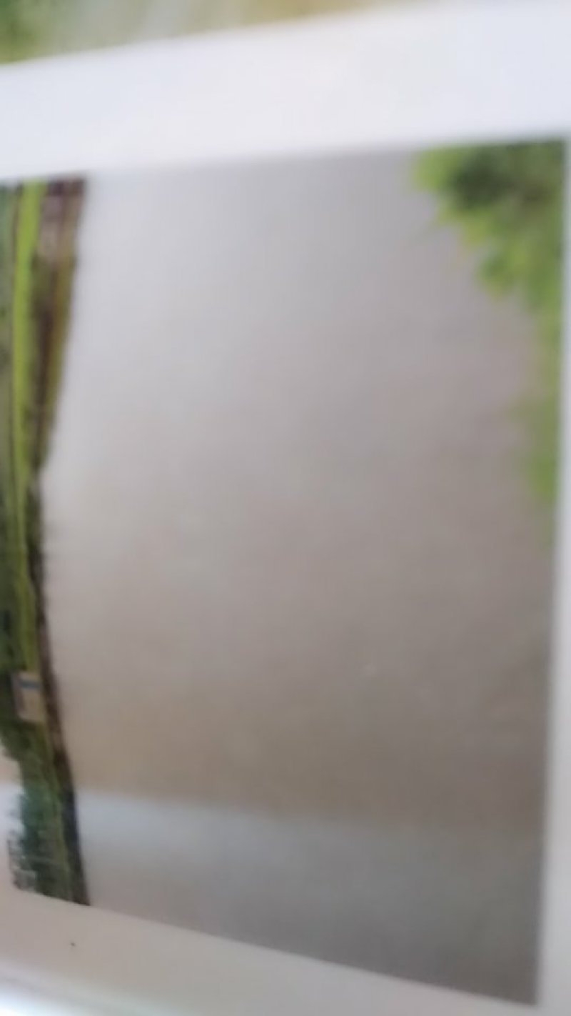 青鱼苗有化水，夏花，寸片，冬片等规格