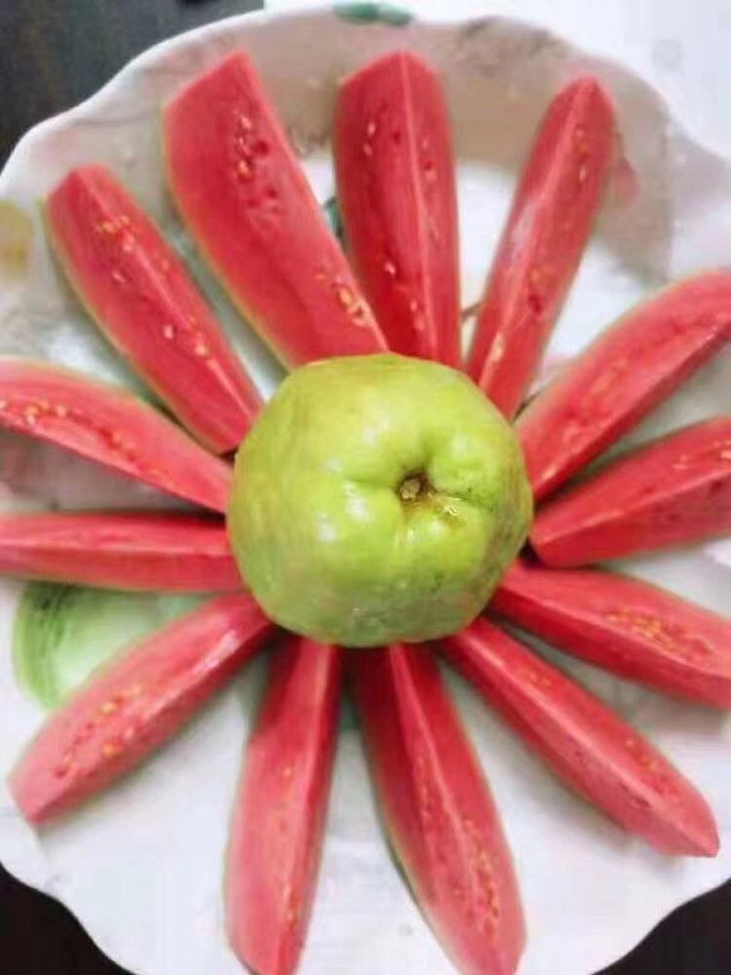 红心芭乐潘石榴秋果软芭乐