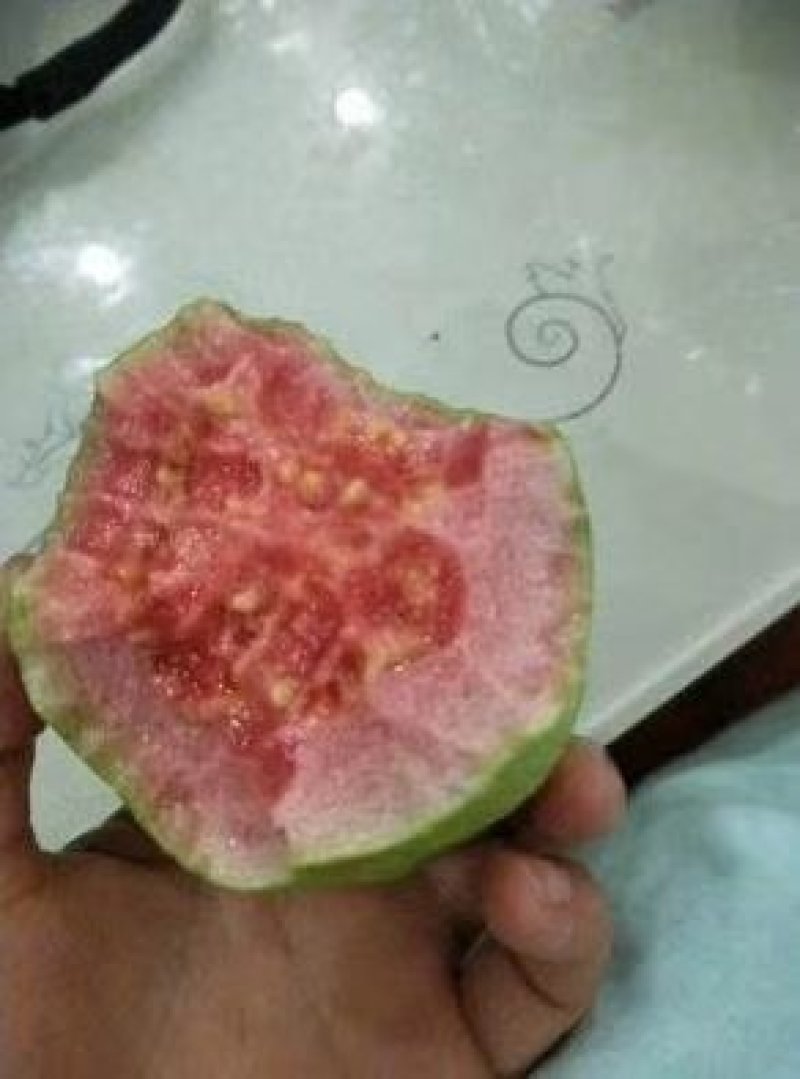 红心芭乐潘石榴秋果软芭乐