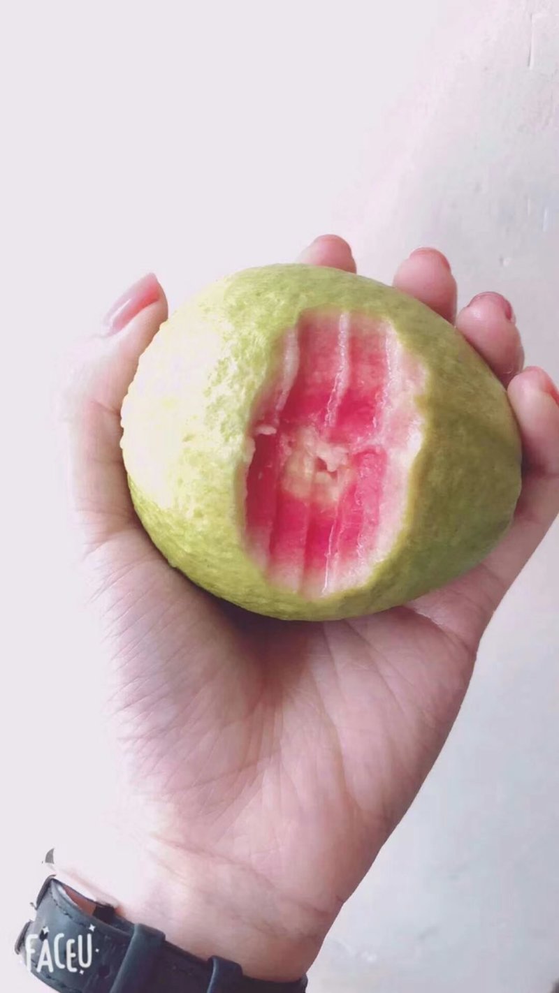 红心芭乐潘石榴秋果软芭乐