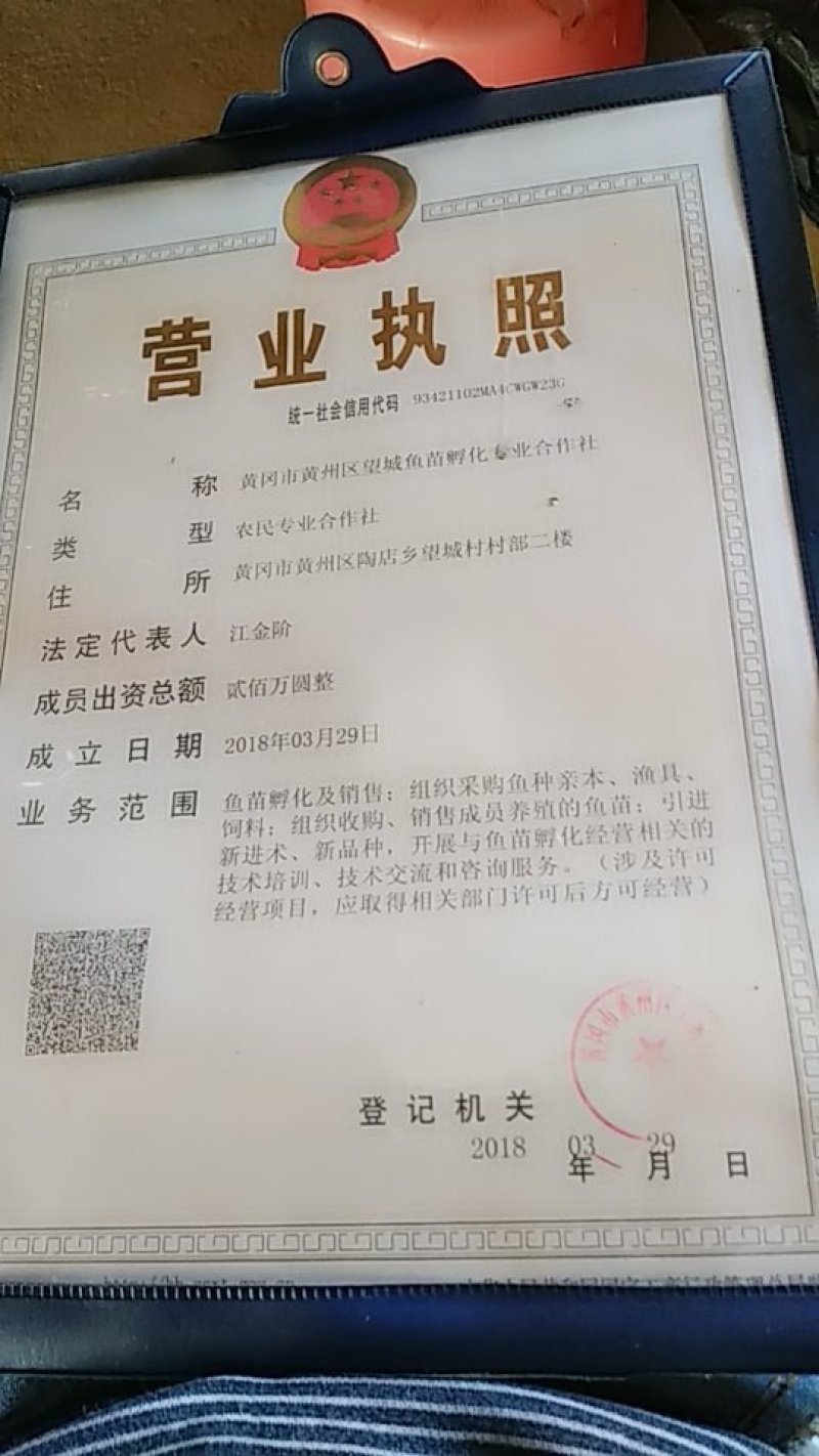 白鲢苗有化水（水花），夏花，寸片等