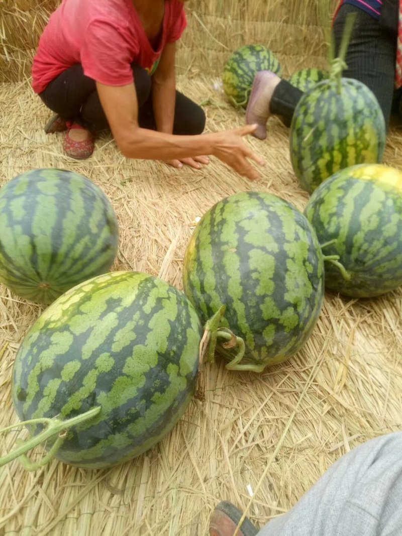 甜王
