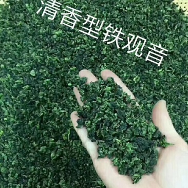 清香型铁观音