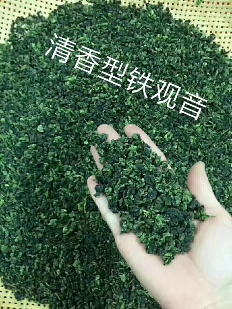 清香型铁观音