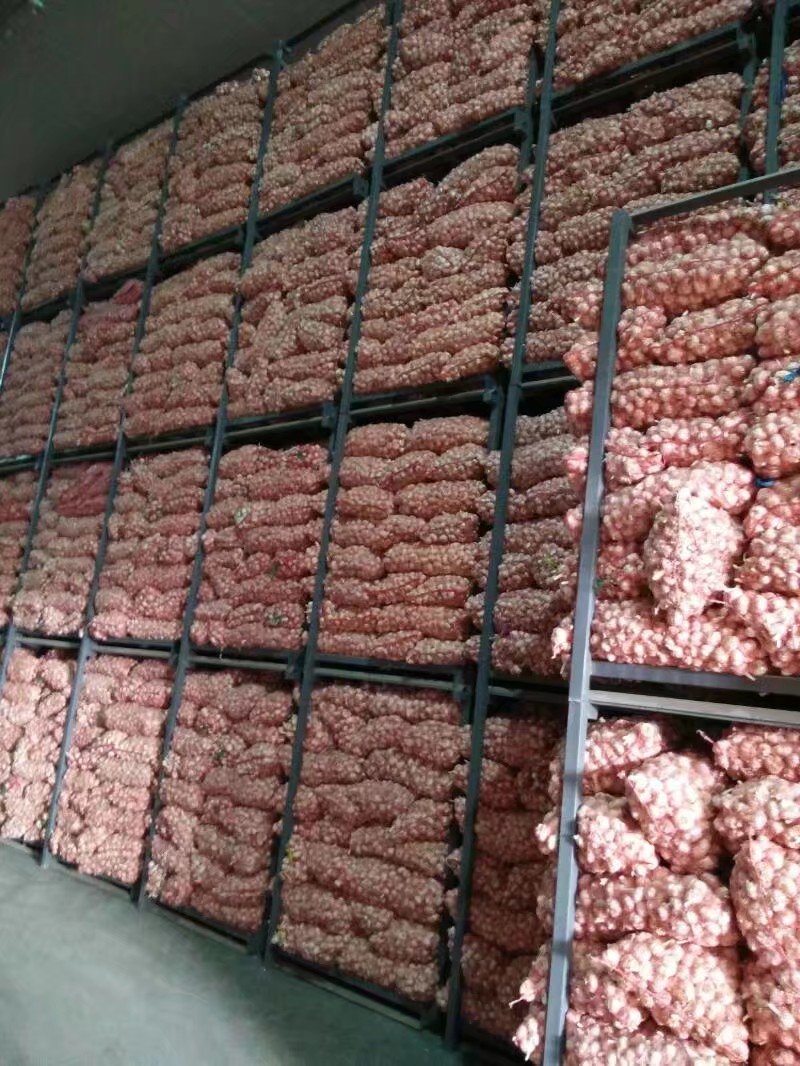 精品，大蒜大蒜，精品大蒜。基地直供。充足，价格便宜。
