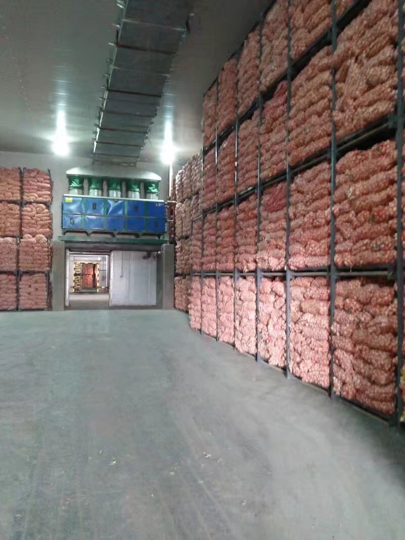 精品，大蒜大蒜，精品大蒜。基地直供。充足，价格便宜。