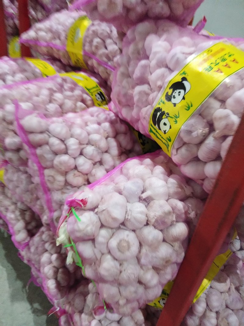 精品，大蒜大蒜，精品大蒜。基地直供。充足，价格便宜。