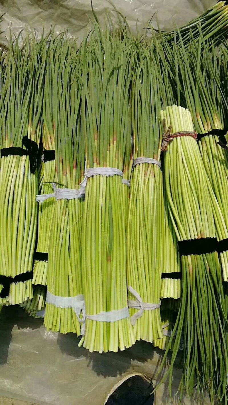 蒜薹大量上市了