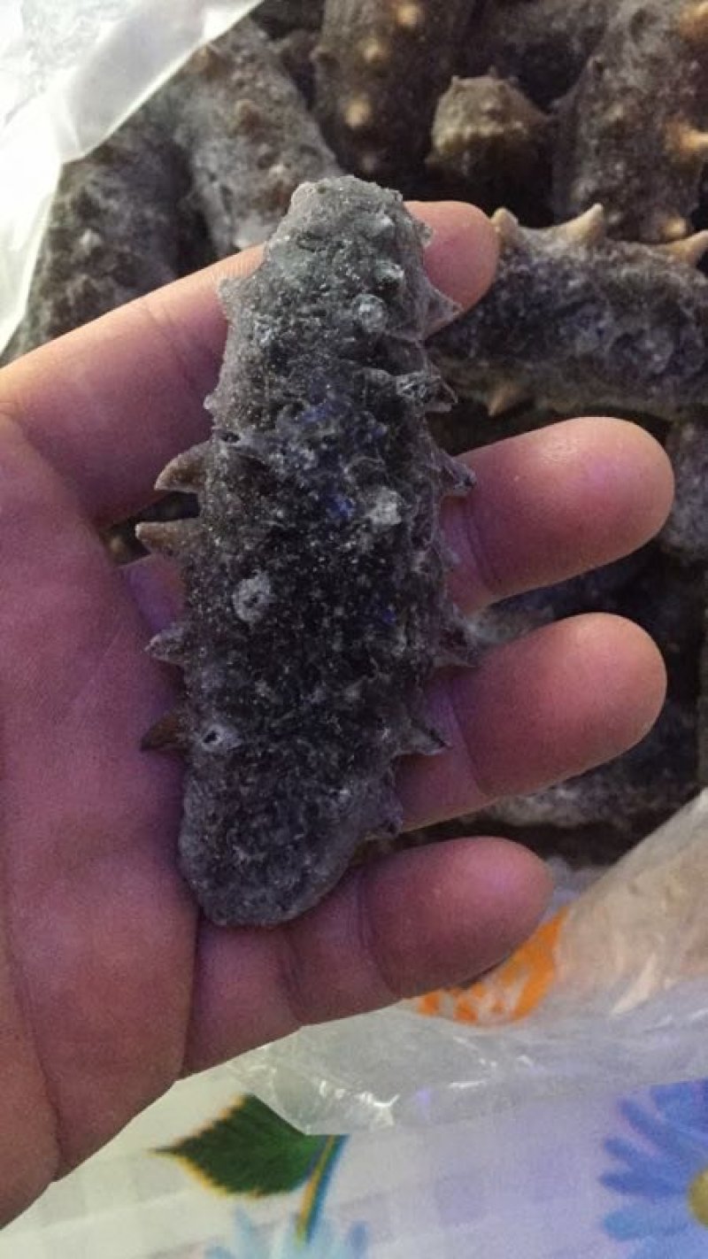 即食海参