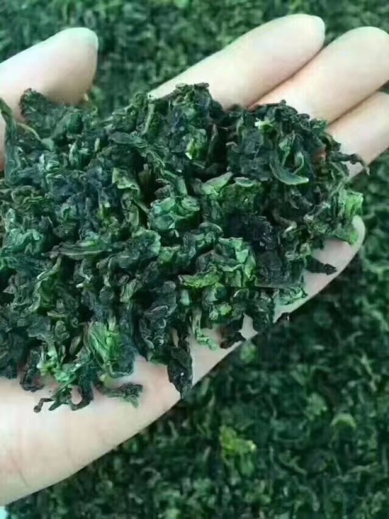 高山铁观音