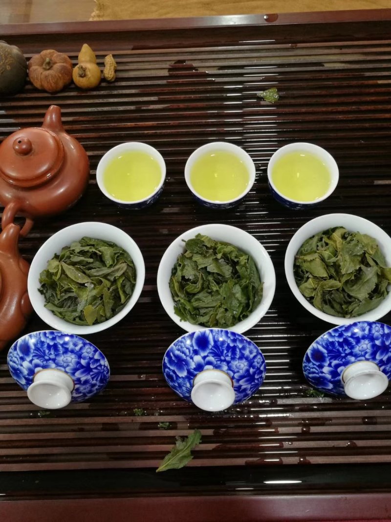 高山铁观音