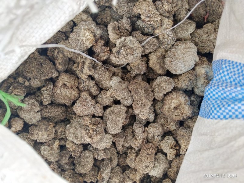 榆耳，核桃菌，黑皮鸡纵菌，干货，食用菌干货