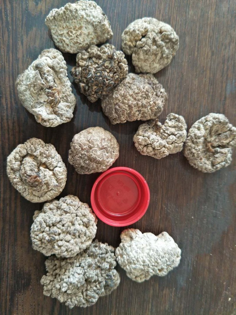 榆耳，核桃菌，黑皮鸡纵菌，干货，食用菌干货