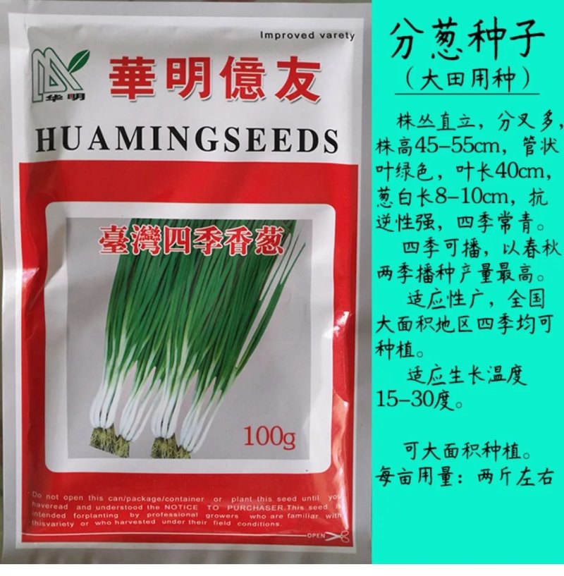 四季小葱种子