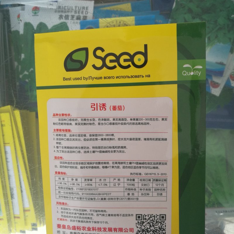 东北铁皮柿子种籽水果草莓番茄种子