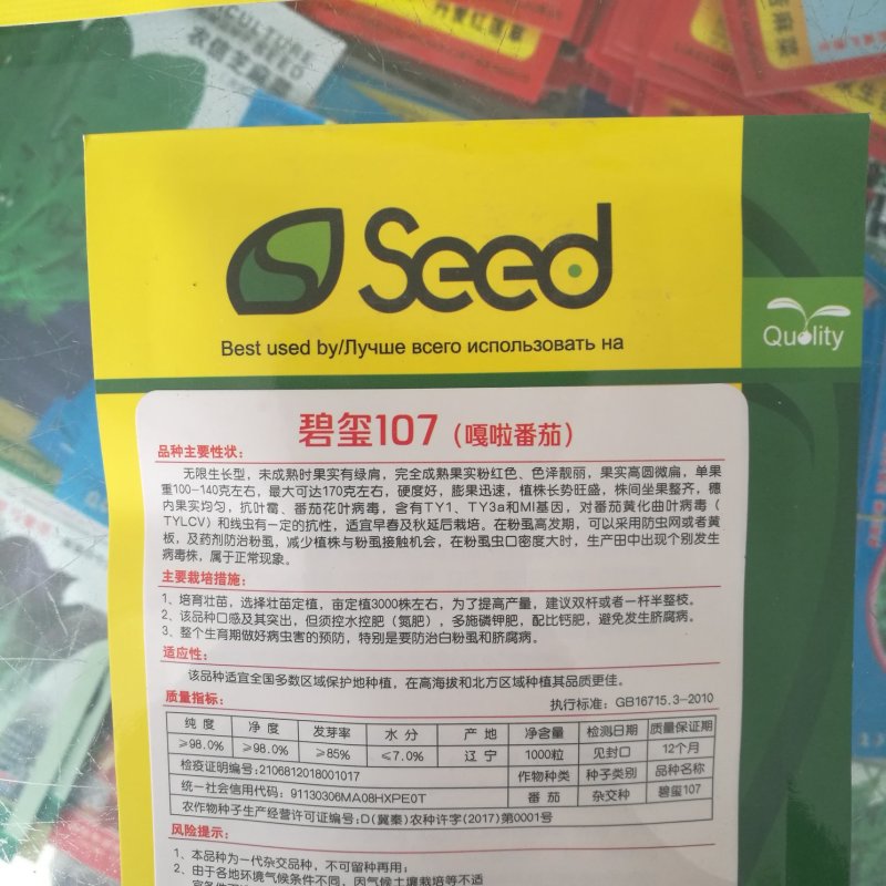 东北铁皮柿子种籽水果草莓番茄种子