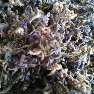 芫花头痛花晒干野生芫花中药材