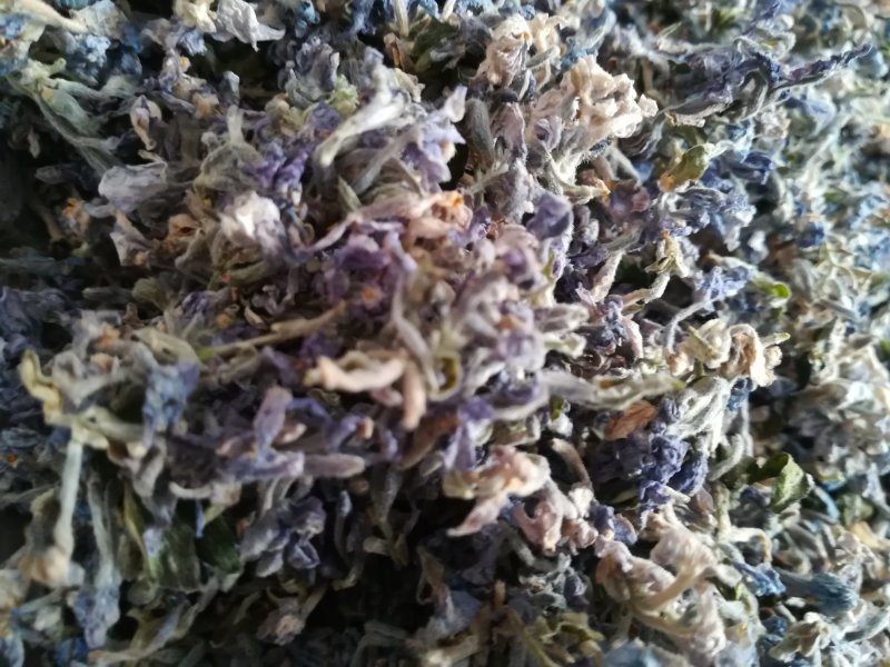 芫花头痛花晒干野生芫花中药材