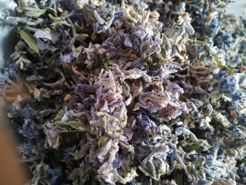 芫花头痛花晒干野生芫花中药材