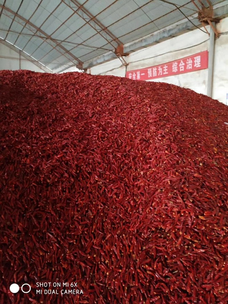 万亩辣椒苗育苗基地品种齐全出售各种辣苗签合同保低价回收，