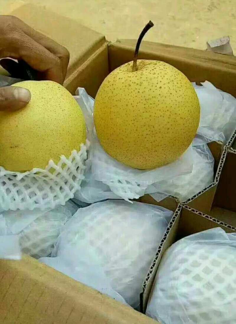 精品(箱装)（筐装)清库梨价低雪花梨质量有保证诚信经营