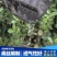 防草布透气透水保湿抗老化防草布园艺防草地布