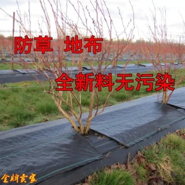 防草布透气透水保湿抗老化防草布园艺防草地布