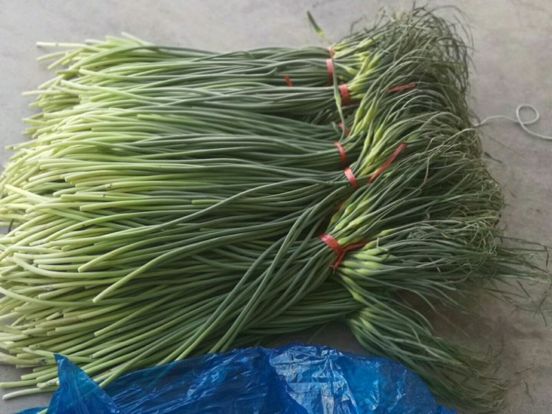 蒜苔四六瓣，