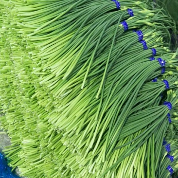 蒜苔四六瓣，