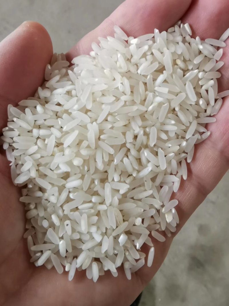大米