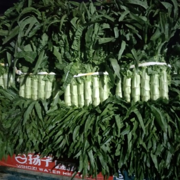 基地货源，产地直销，无空心，无花头，质量保证